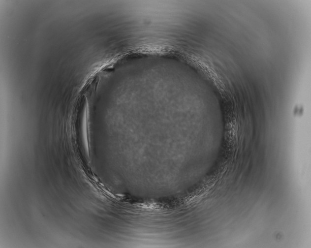 X0000099290688200805161325