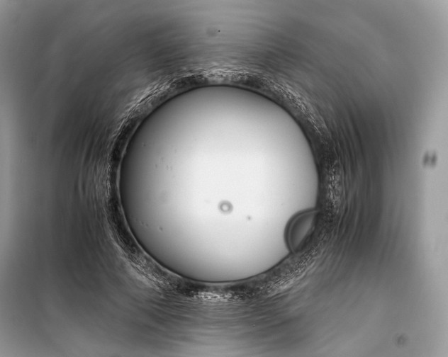 X0000099290690200805161325