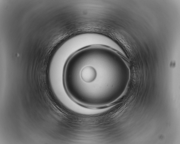 X0000099290692200805161325