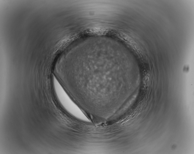 X0000099290693200805161325