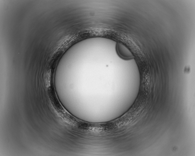 X0000099290694200805161325