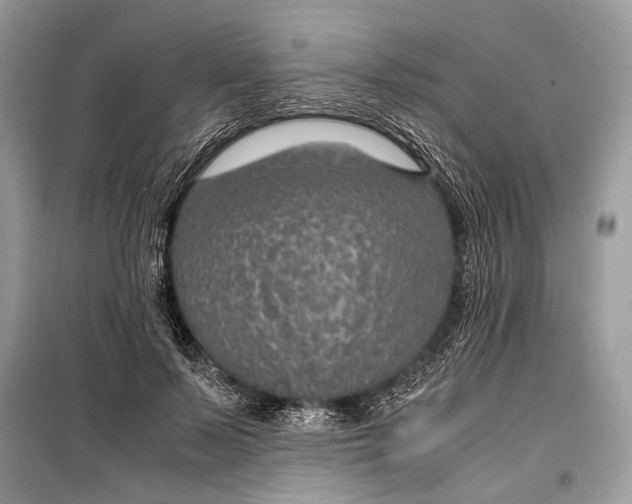 X0000099290695200805161325