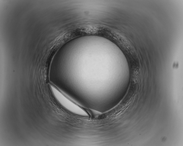 X0000099290697200805161325