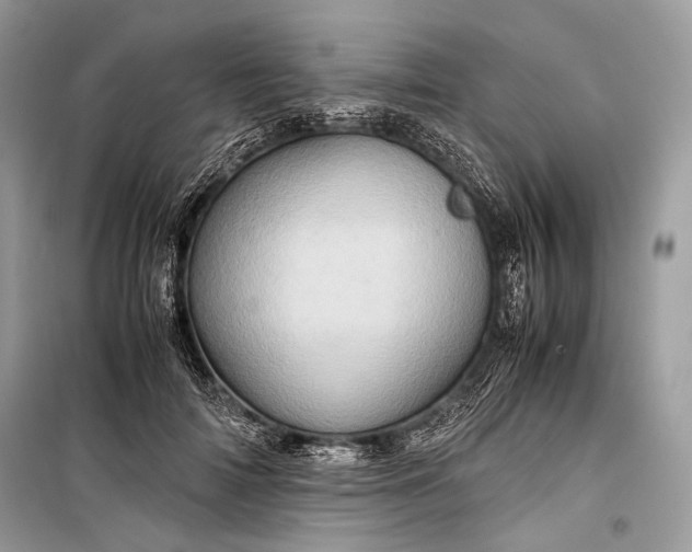 X0000099290698200805161325