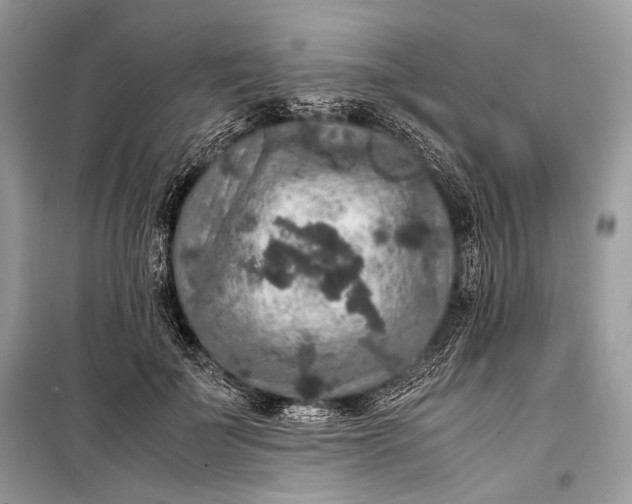 X0000099290699200805161325