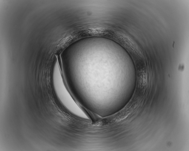 X0000099290700200805161325