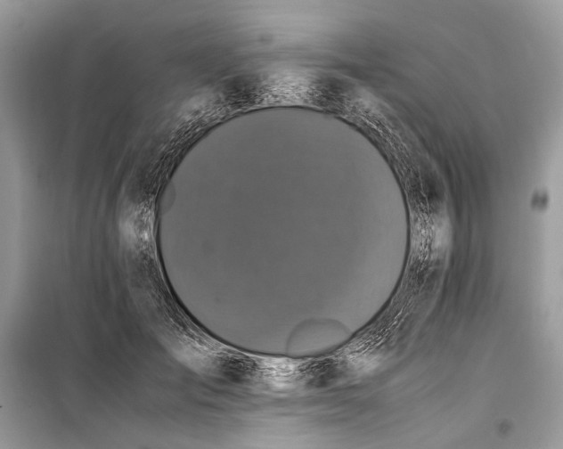 X0000099290701200805161325