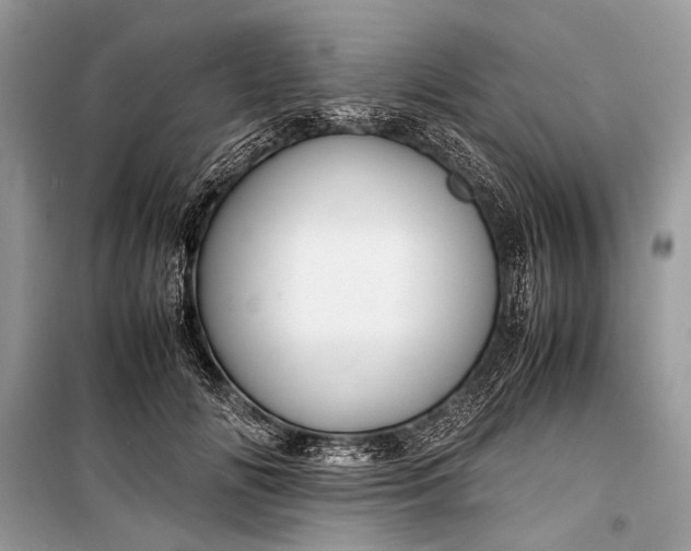 X0000099290702200805161325