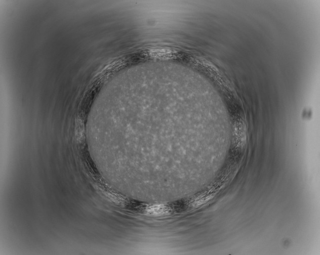 X0000099290705200805161325