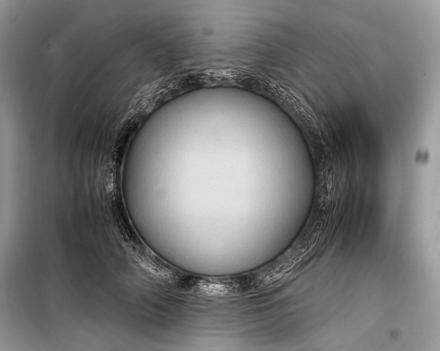 X0000099290706200805161325