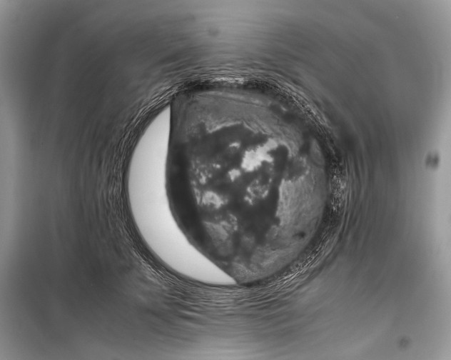 X0000099290707200805161325