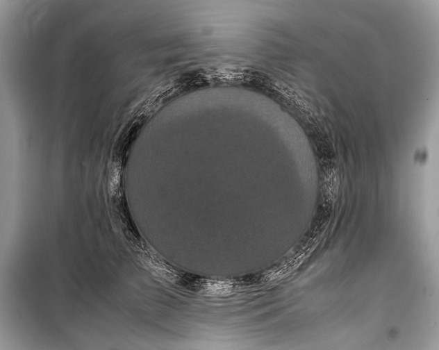 X0000099290709200805161325