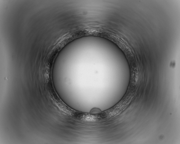 X0000099290710200805161325