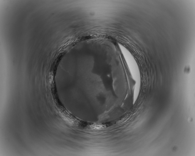 X0000099290711200805161325