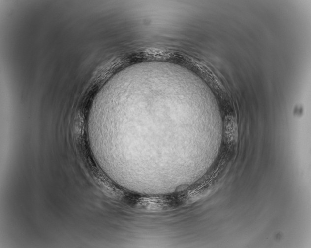 X0000099290713200805161325