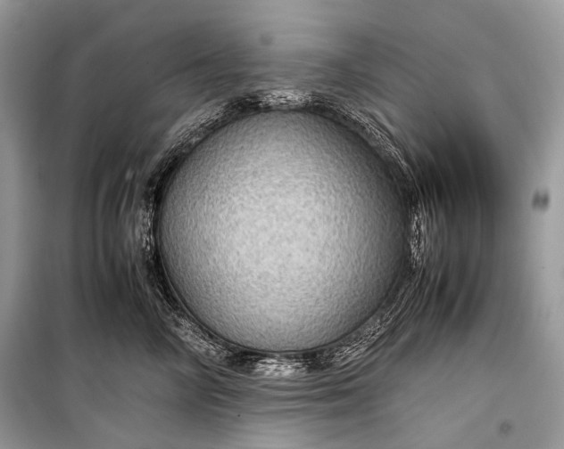 X0000099290714200805161325