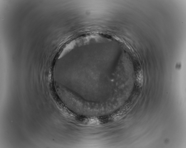 X0000099290715200805161325