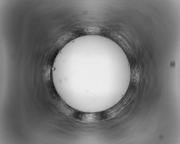 X0000099290717200805161325