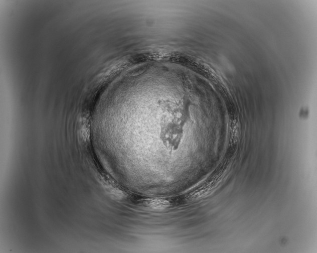 X0000099290719200805161325