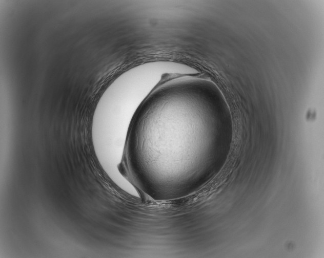 X0000099290720200805161325