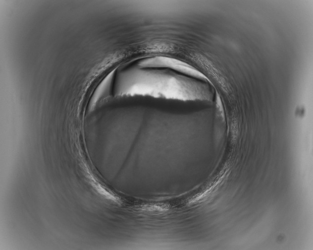 X0000099290721200805161324