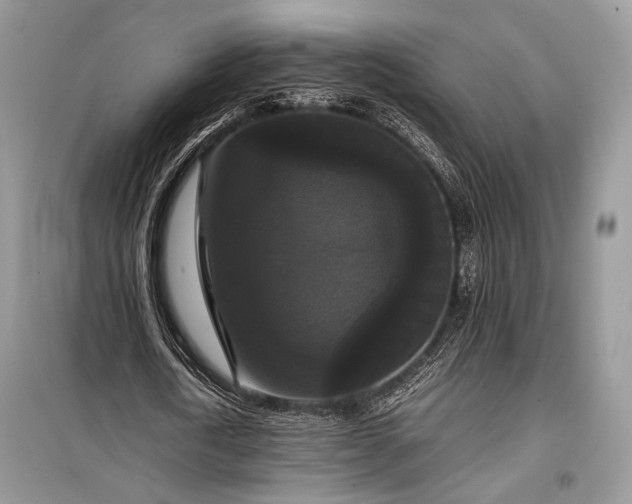 X0000099290722200805161324