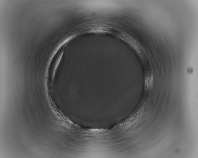 X0000099290724200805161324