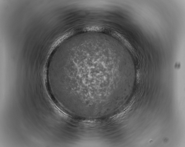 X0000099290725200805161324