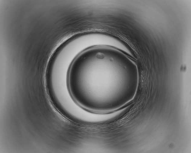 X0000099290726200805161324