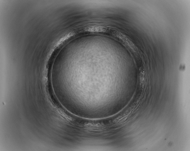 X0000099290727200805161324