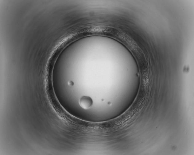 X0000099290728200805161324