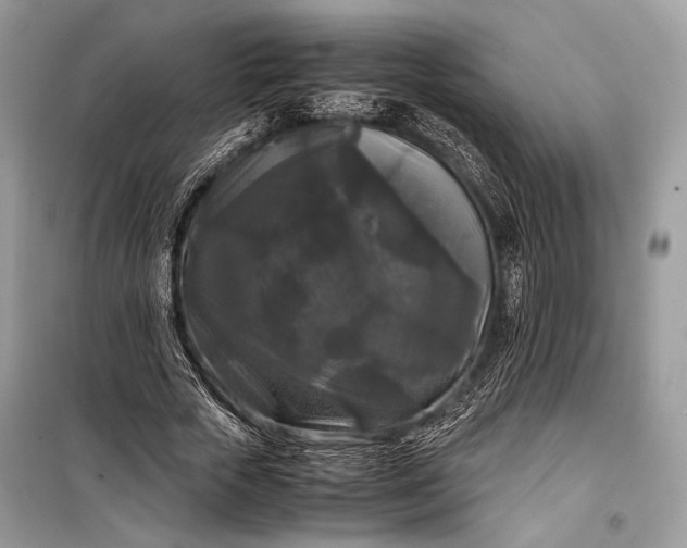 X0000099290729200805161324