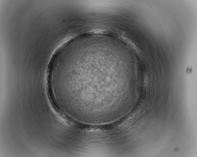 X0000099290730200805161324