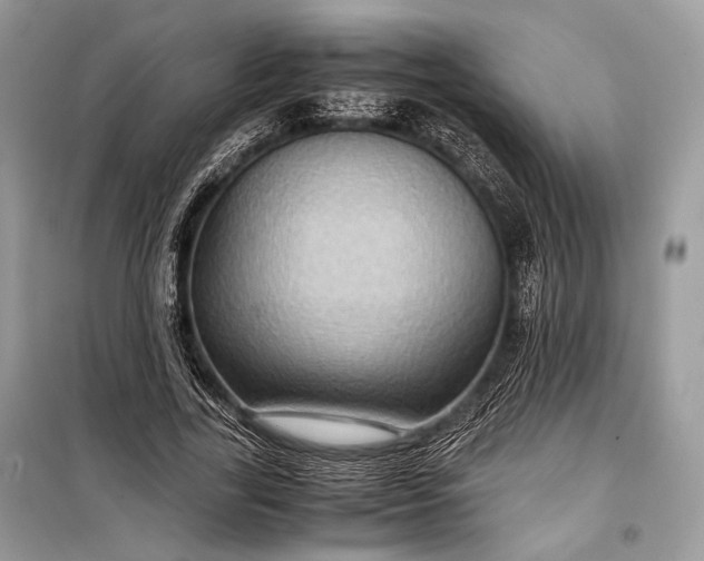 X0000099290731200805161324