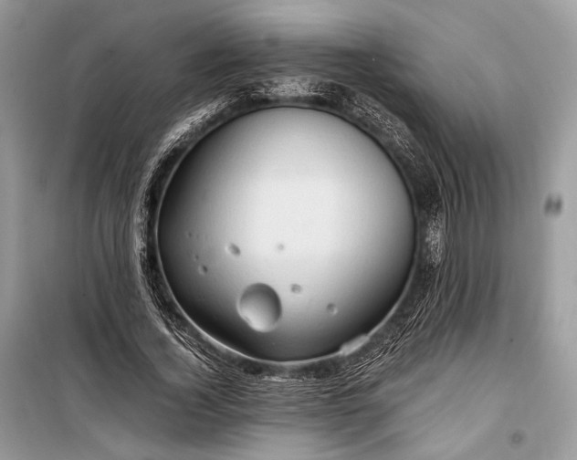 X0000099290732200805161324