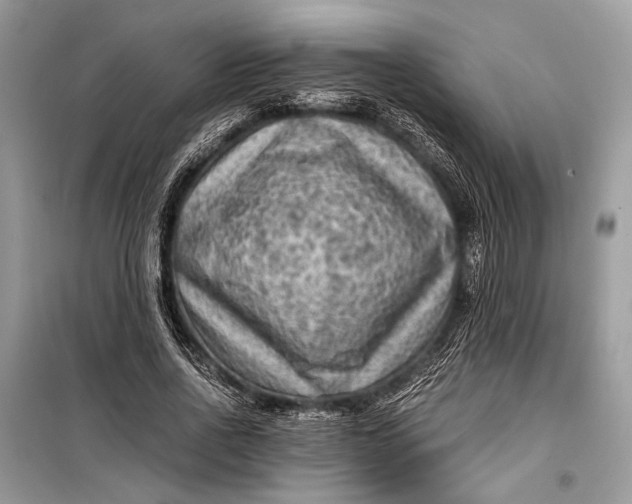 X0000099290734200805161324