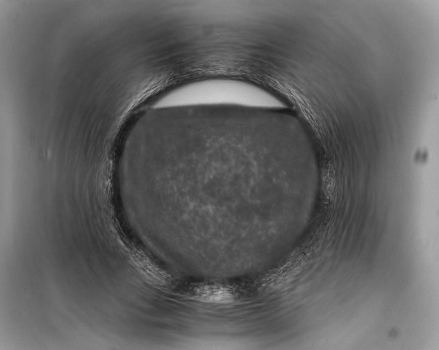 X0000099290735200805161324