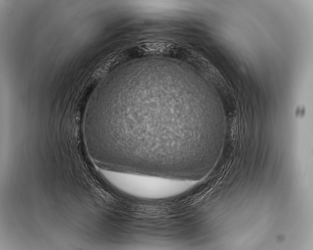 X0000099290737200805161324