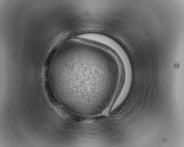 X0000099290738200805161324