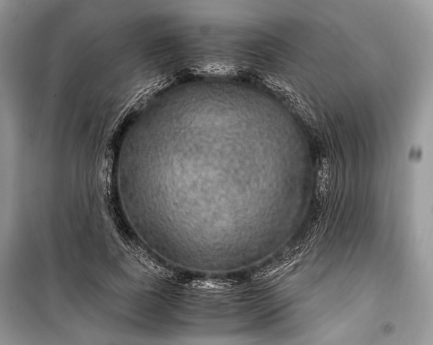 X0000099290739200805161324