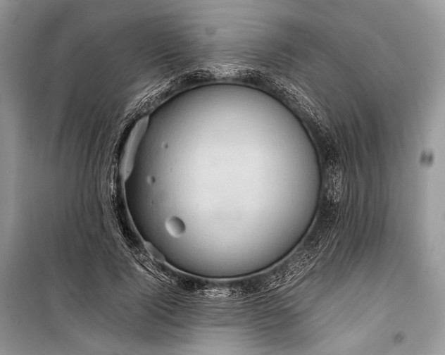 X0000099290740200805161324