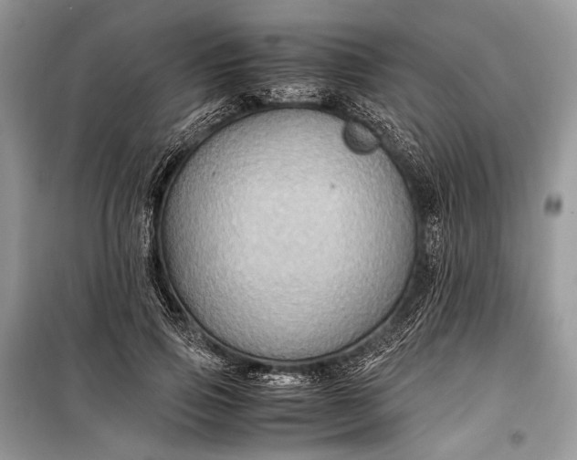 X0000099290741200805161324