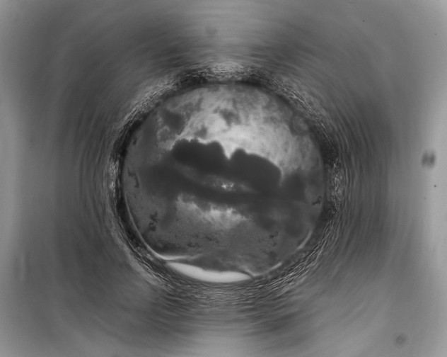 X0000099290742200805161324