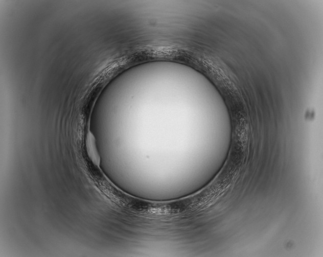 X0000099290744200805161324