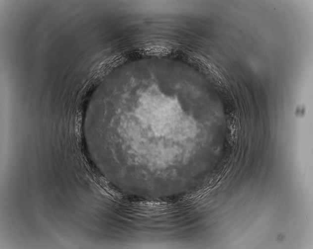 X0000099290745200805161324