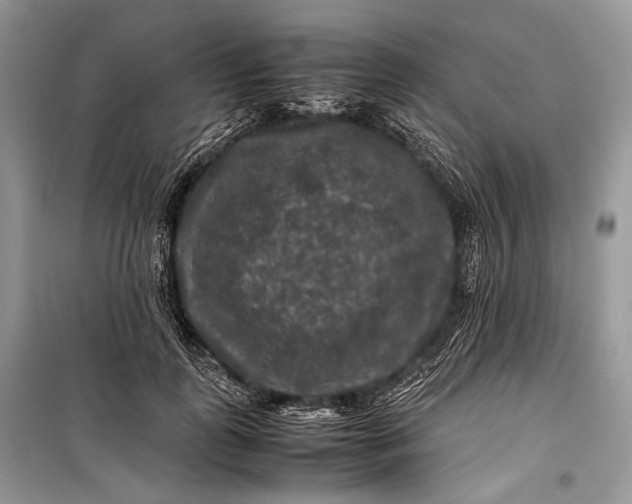 X0000099290747200805161324