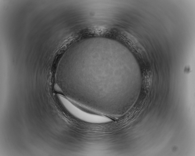 X0000099290750200805161325