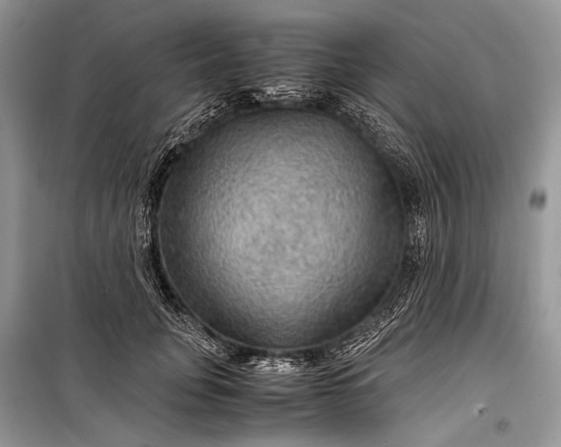 X0000099290751200805161325