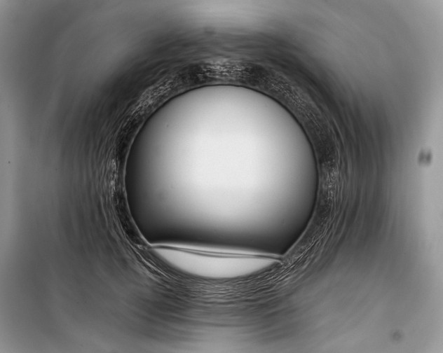 X0000099290752200805161325