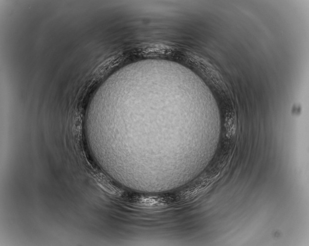 X0000099290753200805161325